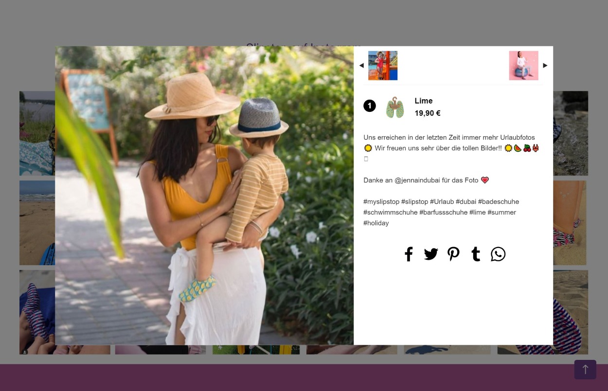 Instagram Feed mit Produktverlinkung in Einkaufswelten | Shop the Look! 
